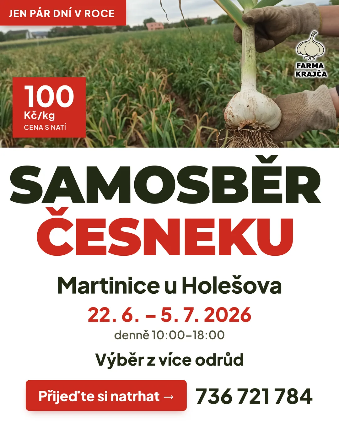 Reklama pro feed Facebooku