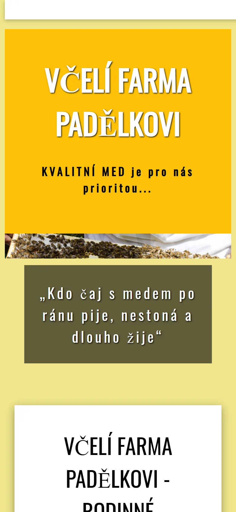 Starý web na telefonu