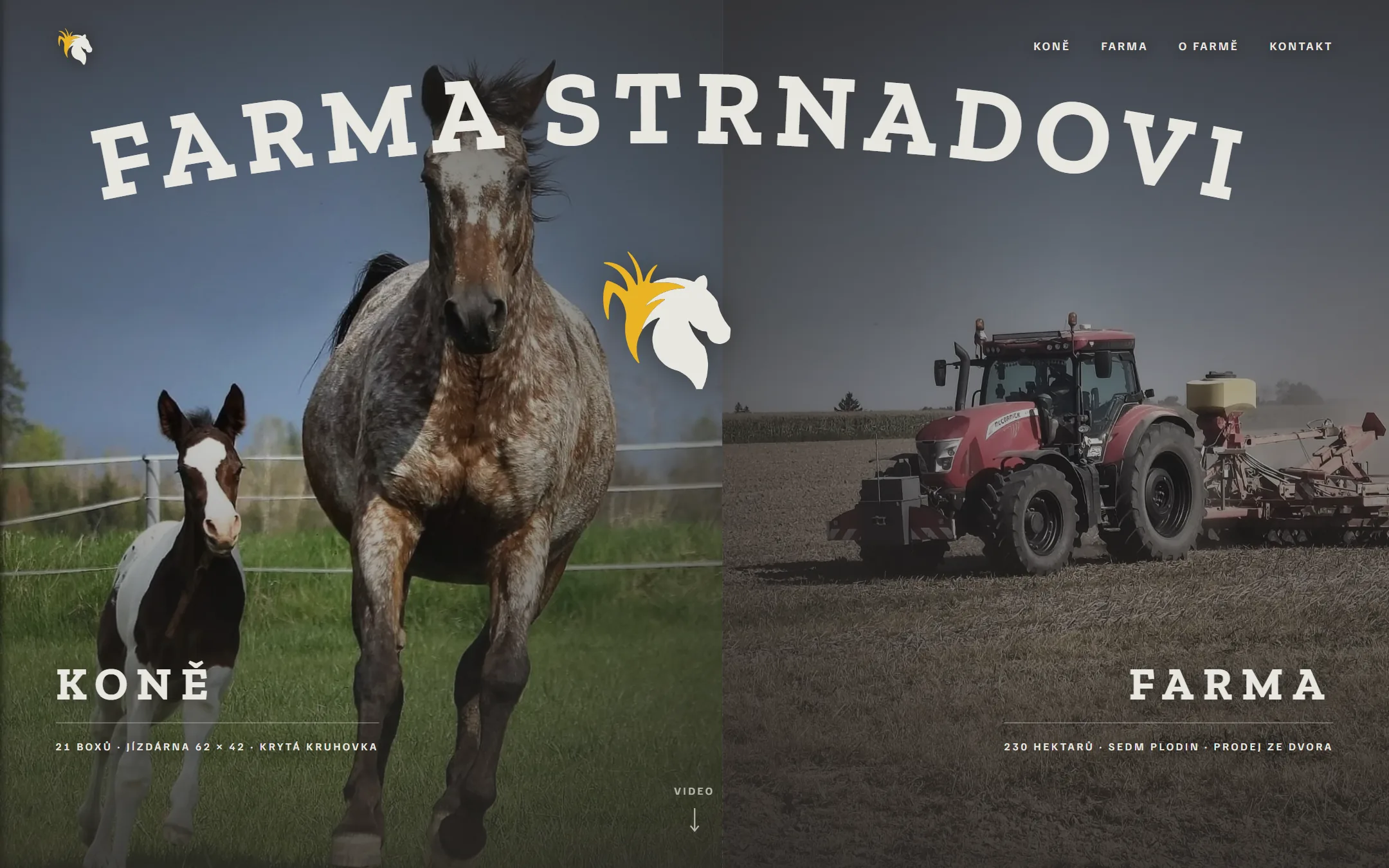 Web Farma Strnadovi na počítači